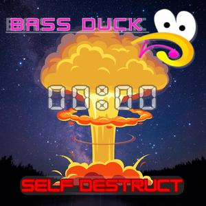 Self Destruct