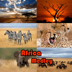 Africa Medley: Afrika / Dik-Dik / Dugn' Be' / Guro Zamble / Mambila / Bamanah n' Goni / Shiko / Bwa Butterfly / Kilimanjaro / Kuru Ma We Ze / Sahel Promenade / Adras Des Iforas / Sanza / Zulu Dance
