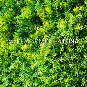 Strălucirea Licuriciului