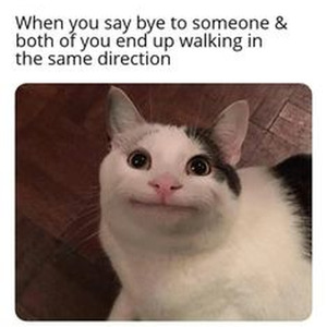 Seeing Double (slowed)