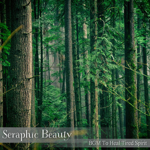 The Sunset on your Mind