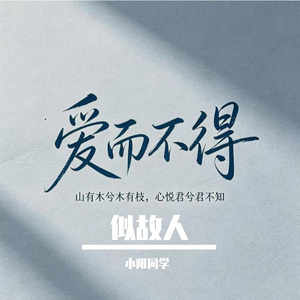 合照
