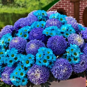 《站台叙事诗》 (2)