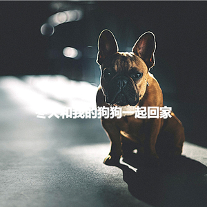 Thrilling Saxophone Jazz - Vibe for Discovering Times