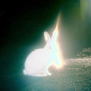 친구가 될지도 몰라