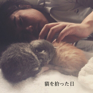 猫を拾った日