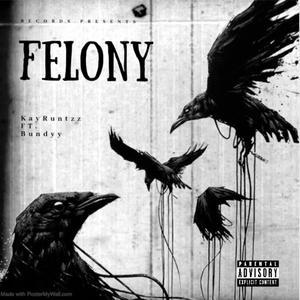 FELONY