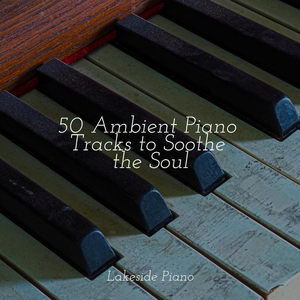 Blissful Paradise Voyage