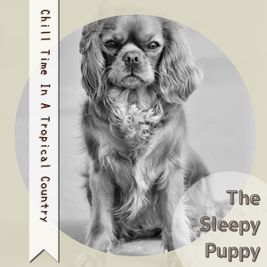 Let's Go to the Park