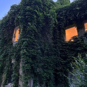 я любил, что ты ненавидела