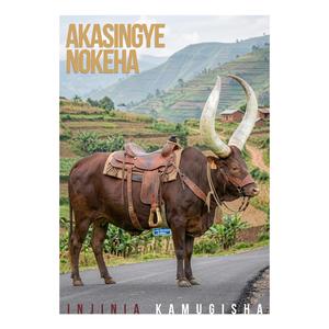 Akasingye Nokeha