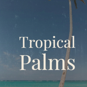 Piano Concerto Tropical Extravaganza