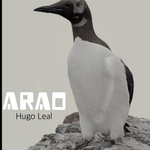 ArAo
