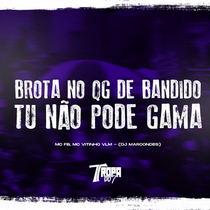 Brota no Qg de Bandido - Tu Nao Pode Gama