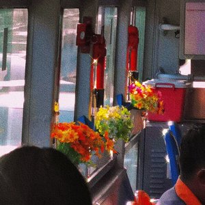 Buongiorno, principessa. （早安，公主）