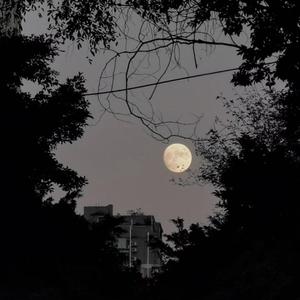 我想带你逃离这里（prod by GALA）