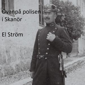 Ovanpå polisen i Skanör