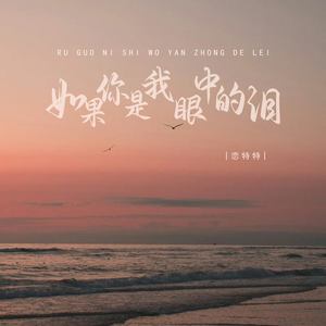 如果你是我眼中的泪 (伴奏)