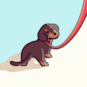 死なない犬