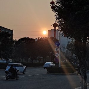 海带会打结