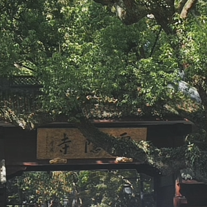 《浮生六记》—节选