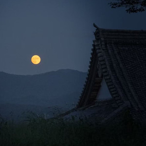 思念是枚弯月亮