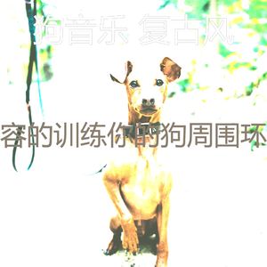 微妙的训练你的狗心情