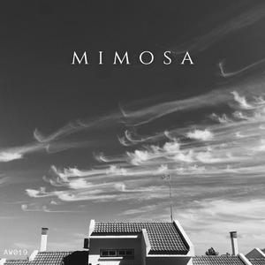Mimosa