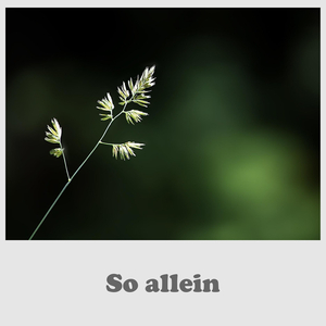 So Allein
