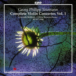 Violin Concerto in E Minor, TWV 51:e3:III. Allegro