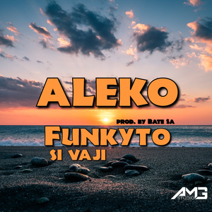 Funkyto si vaji