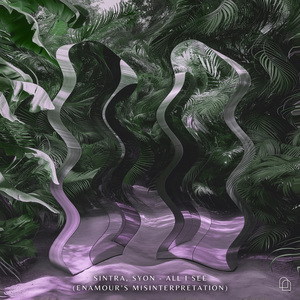 All I See (Enamour's Misinterpretation)