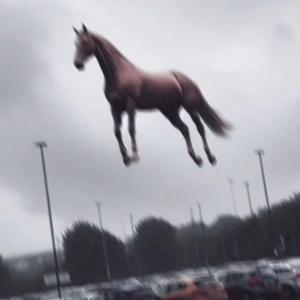 Im "Lifted"