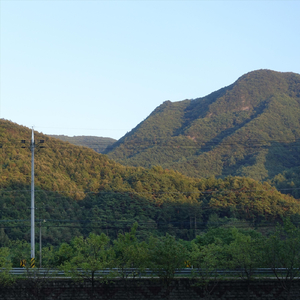 Deep in the Mountains (feat. Deep in the Mountains Ensemblse)