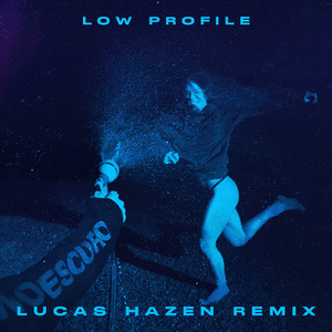 Low Profile (Remix)