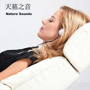 Wonders of the Ocean