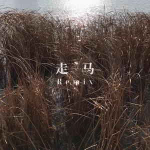陈粒-走马(Reprod.By M-Zorn)（加勒 remix）