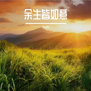 余生皆如意