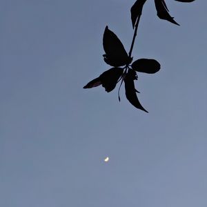 城市梦境