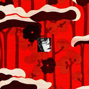 A Forest With A Window