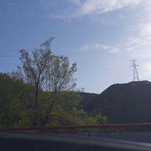 每天（Everyday）