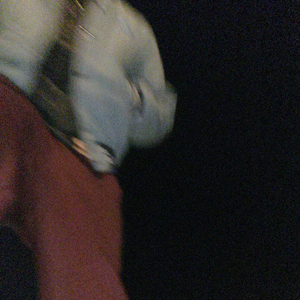 Runinthehouse! (feat. Alkolonia)