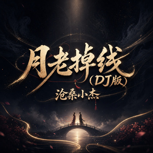 月老掉线(DJ版)