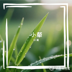 《咖啡馆爵士：文档工作的效率乐章》