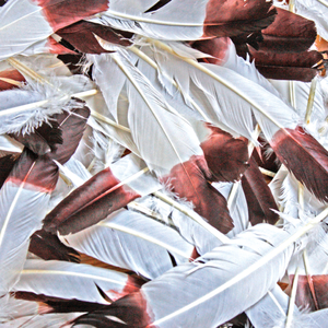 The Truest Faith (Ghostape Remix)