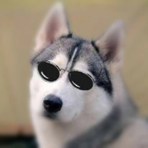 [Free]砰｜Lil pump type beat