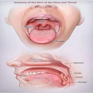 Ham Boy me Money Love money Monkey Money Business boy I like money beyond money Money from monkeys child I am the money is money Rule Baby baby I love money like money Money from monkeys I like money Dangerous Business enterprises
