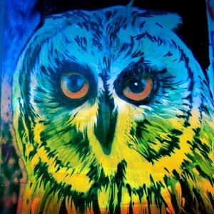 Fly Away (feat. Braintear Sixxy)