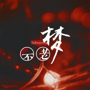 不老梦（Cover：银临）