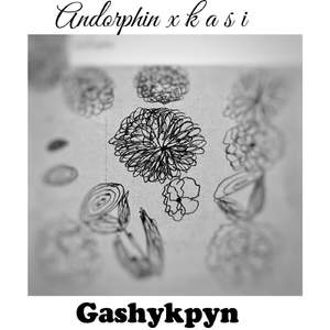 Gashyqpyn